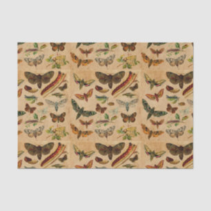 Bugs & Butterflies -  verfijnd papierpatroon Tissuepapier
