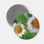 Bugs en White Flowers Magneet (Voorkant / Achterkant)