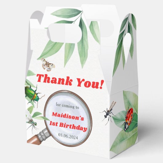Bugs & Insecten  Boy Verjaardagsfeest Bedankdoosjes (Geopend)