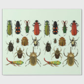Bugs Insects Beetles Entomology wildlife Art Cadeaupapier (Vlak)