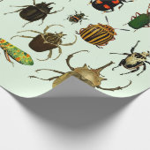 Bugs Insects Beetles Entomology wildlife Art Cadeaupapier (Hoek)