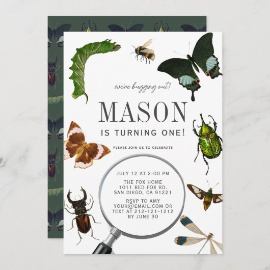 Bugs & Insects Boy 1st verjaardag Kaart (Voorkant / Achterkant)