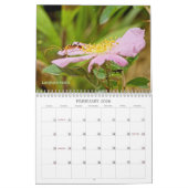 Bugs krijgen geen respect #2 Agenda Kalender (Feb 2026)