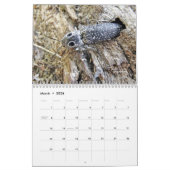 Bugs krijgen geen respectvolle agenda #3 kalender (Mar 2026)