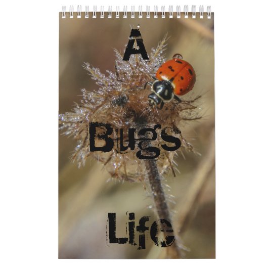 bugs leven kalender (Hoes)