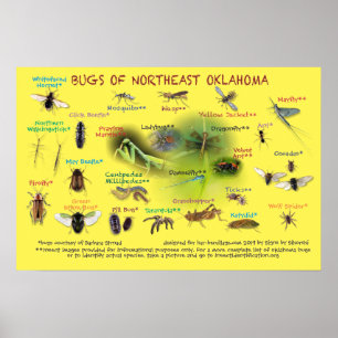 bugs of northeast Oklahoma poster 19p