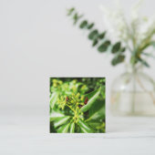 bugs op groene kaart (Staand voorkant)