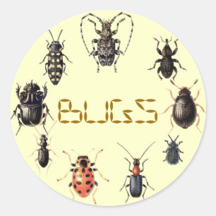 BUGS RONDE STICKER
