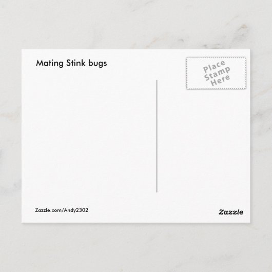 Bugs Spotk ~ carte postale (Dos)