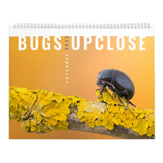 BUGS UPCLOSE 2021 KALENDER (Hoes)