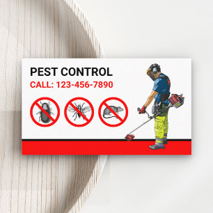 Bugs Verwijdering Professionele Ongediertebestrijd Visitekaartje