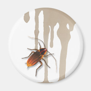 Bugzeez_Icky Sticky Roaches die fridge magnet drup Magneet