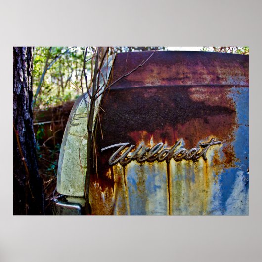 Buick Wildcat Poster (Voorkant)