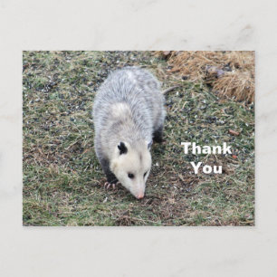 Buidelrat Foto Bedankt Briefkaart
