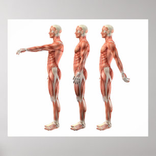 Buigmachine, uitbreiding en hyperextensie poster