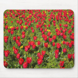 Buis van Tulpen Muismat