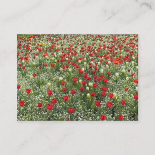 Buis van Tulpen Visitekaartje
