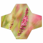 buisson de couleur (Plat)