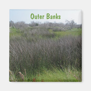Buiten banken Tidal Salt Marsh Coordinating Items Magneet