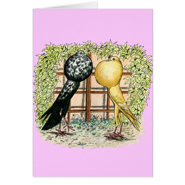 Buiten: Brunners (Voorkant)