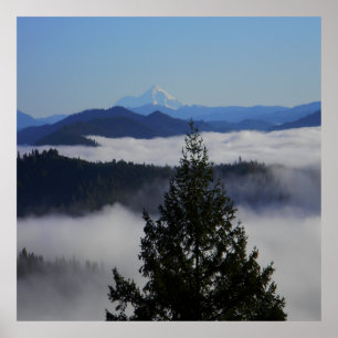 Buiten de boom.... poster