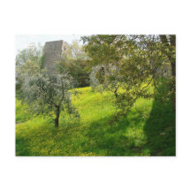 Buiten de muren van San Gimignano