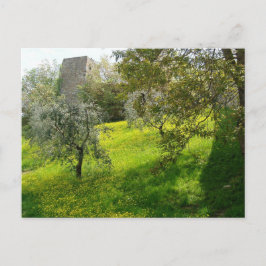 Buiten de muren van San Gimignano Briefkaart