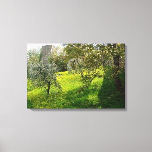 Buiten de muren van San Gimignano Canvas Afdruk (Voorkant)