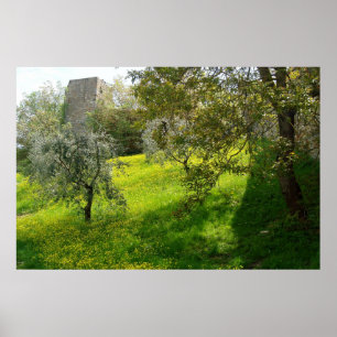 Buiten de muren van San Gimignano Poster