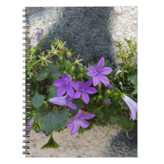 buiten de muurbloem notitieboek