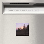 Buiten het hek... magneet (Insitu (Vaatwasser))