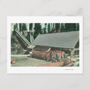 Buiten Uitzicht van Benton's MillRedding, CA Briefkaart