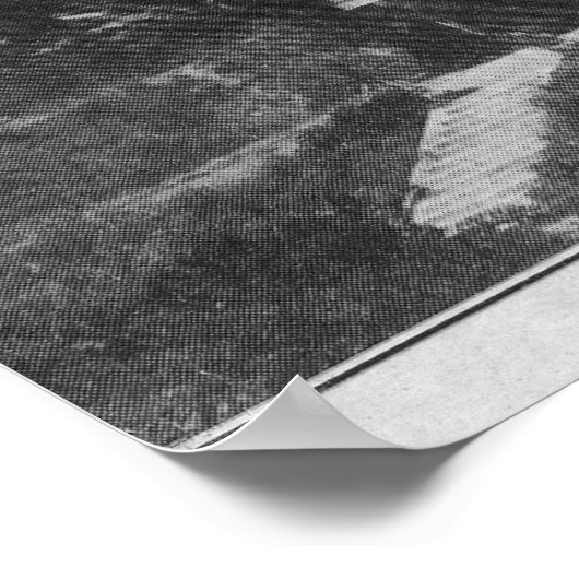 Buiten Uitzicht van Hotel Bon Air in Escalle Poster (Hoek)