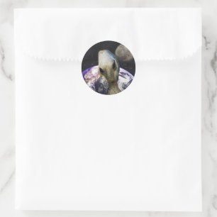 Buitenaardse Bestemming: Aarde Ronde Sticker