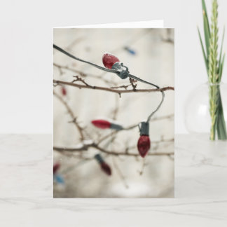 Buitenkerstboom Feestdagen Kaart