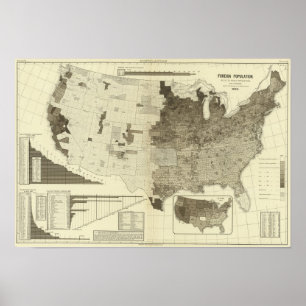 Buitenlandse populatie naar provincies poster