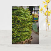 Buitenmarkt Kaart (Gele Bloem)