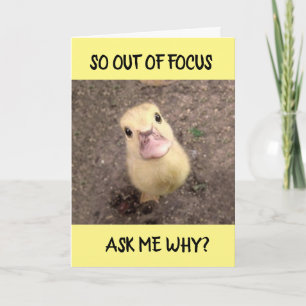 * BUITENSPIEGEL * * VOOR I * * MISS JOU * * KAART