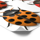 Buizen, bugs, bubbels - buikpatroon poster (Hoek)