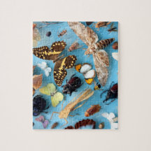 Buizen, buiken, buiken en molen