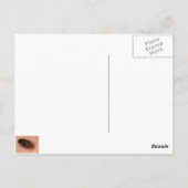 Buizen: Cimex lectularius Briefkaart (Achterkant)