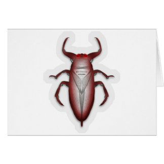 Buizen in de code...