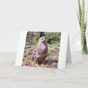 Buizerd Wenskaart – Wilde Buizerd Kaart