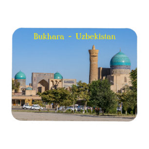 Bukhara, Oezbekistan - Kalyaanse moskee Magneet