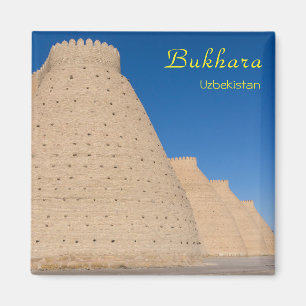 Bukhara, Oezbekistan - Muur van het Arkfort Magneet