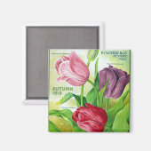 Bulbes et graines Perry KRW 1912 Magnet Vintage (Recto/Verso)
