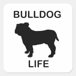 buldog leven vierkante sticker