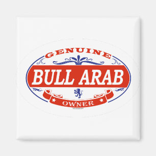 Bull Arab Magneet
