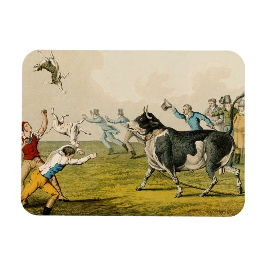 'Bull Baiting', geb. door Thomas McLean, 1820, (pr Magneet (Horizontaal)