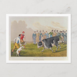 'Bull Baiting', gepromoveerd door Thomas McLean, 1 Briefkaart